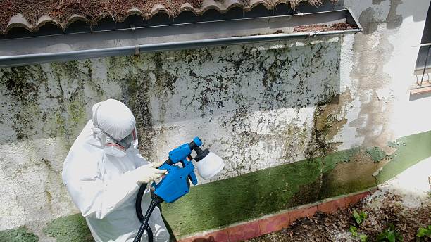 Top rated local Mold Testing specialists in Warrenton, GA